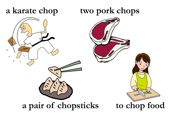 usages of chop chop